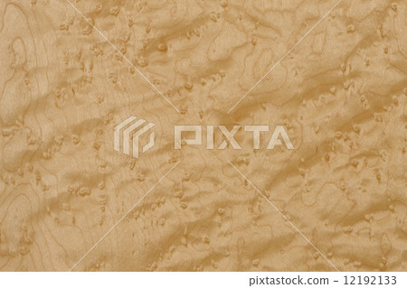 Bird's eye Maple board Bird's eye Maple, outerwear 12192133