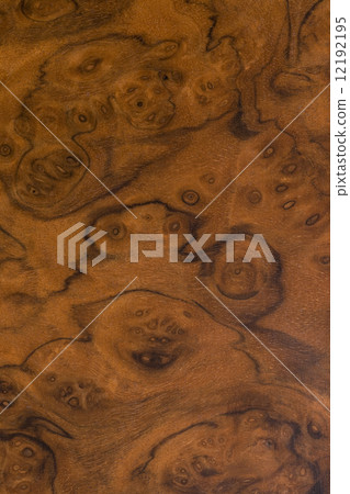 Claro胡桃木板 12192195