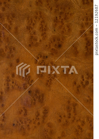 平板 平板 12192687