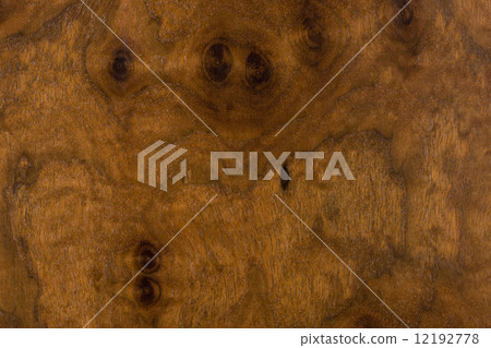 Claro胡桃木板 Claro胡桃木板 12192778