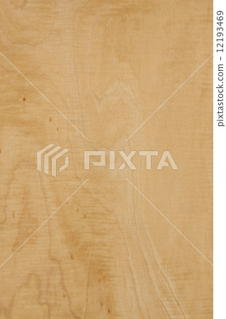 董事會的tochi 12193469