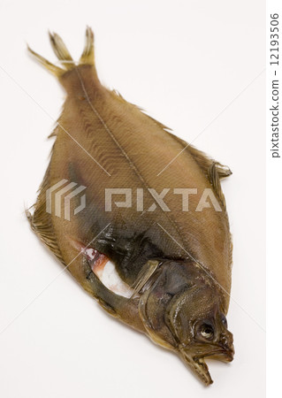 Dried curry 12193506