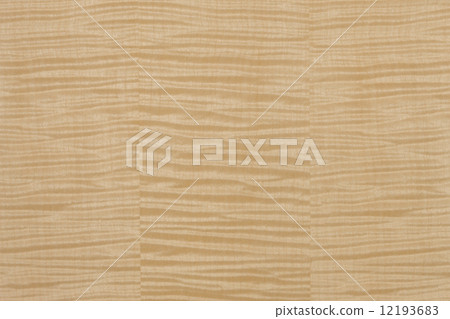 Sycamore的董事會 12193683