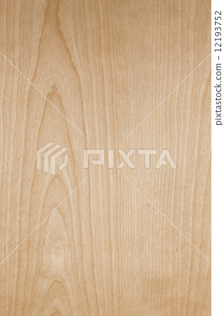 White birch board 12193752