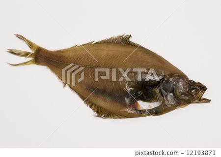 Dried curry 12193871