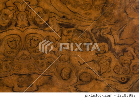 Claro胡桃木板 12193982