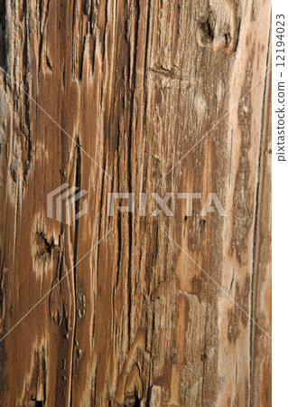 Plate wall 12194023