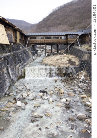 那須湯本溫泉Shikanoyu 12194501