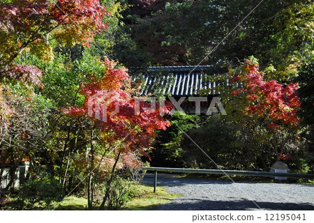 Garden view of Kyoto Akayama Zenin 12195041