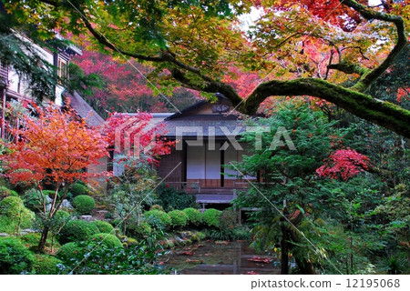 Garden view of Kyoto Rikkoin Garden view of Kyoto Rikkoin 12195068