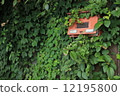 Vine mailbox 12195800