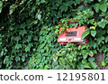 Vine maildrop 2 12195801