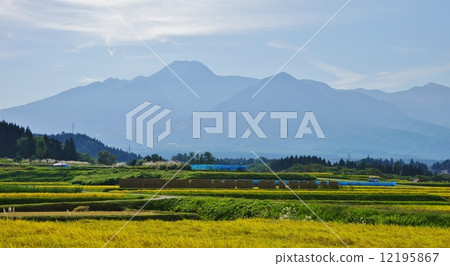 Mytakayama和水稻梯田的秋天 12195867