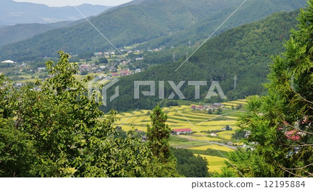 Shinshu Kijimadaira Village Rice terrace Shinshu Kijimadaira Village Rice terrace 12195884