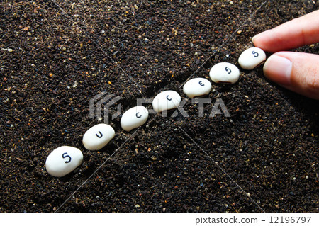 Planting success 12196797