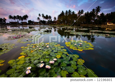 Candidassa, Bali, Indonesia 12196801
