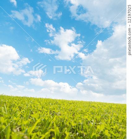 寬敞的山丘 12197025