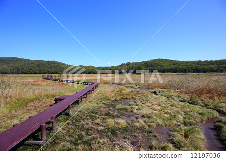 Marshy land of Tsurugishi 12197036