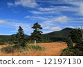 Fall of the plateau 12197130