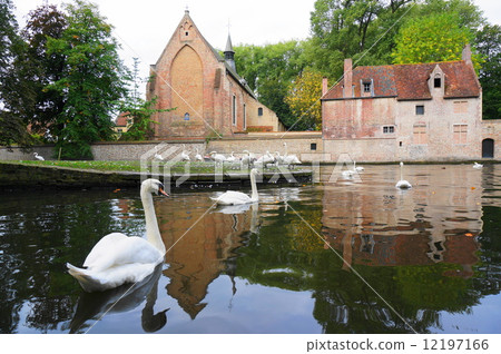 Bruges Bruges 12197166