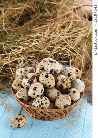 quail eggs in a wicker basket 12197641