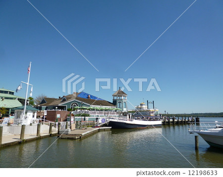 Potomac River 12198633
