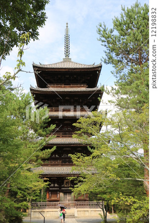 Kyoto Oimuro Ninnaji Temple 8 Kyoto Oimuro Ninnaji Temple 8 12198832