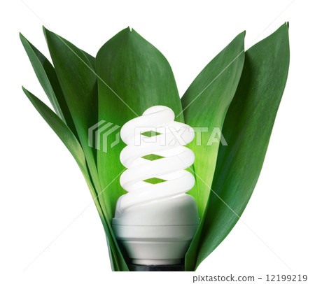 fluorescence lamp in green leaves of isolated on a white backgro fluorescence lamp in green leaves of isolated on a white backgro 12199219