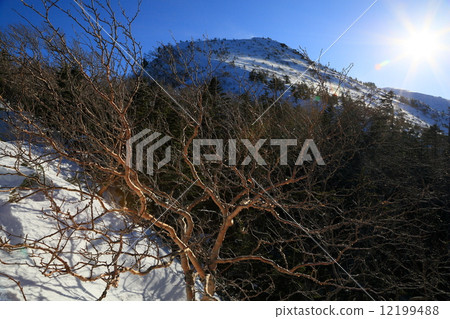 From the vicinity of Kitayama Yatsugatake · Nakayama Pass to Tengu From the vicinity of Kitayama Yatsugatake · Nakayama Pass to Tengu 12199488