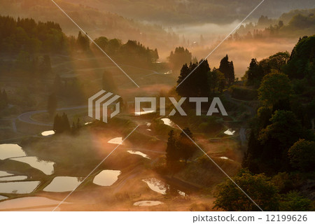 Rice paddy of Star Pass 12199626