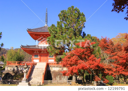Daikaku-ji (Kyoto) See the Pearl Treasure from the garden of autumn leaves 12199791