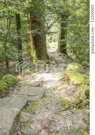Stone steps of Mt. 12200005