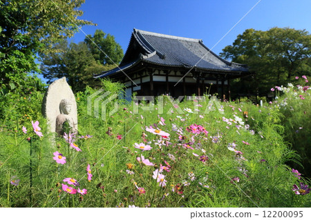 文寺（宇宙） 12200095