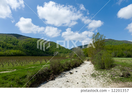 Unpaved Road Unpaved Road 12201357