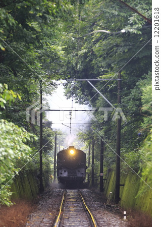 光亮的鐵路（Oigawa Railway SL） 12201618
