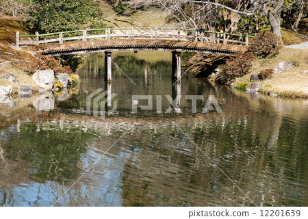 森洞皇家彩葉橋 12201639