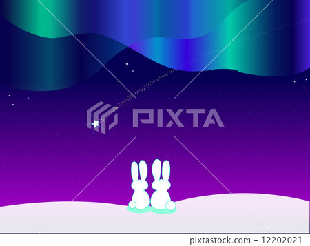 Aurora and rabbits and snow scenery - Stock Illustration [12202021] - PIXTA