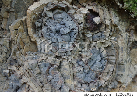Onion weathering 12202032