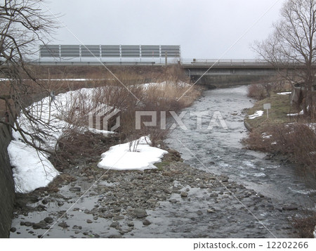 Gonzen Yanagida 12202266