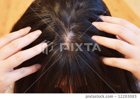 Hair in women in their 40's 12203083