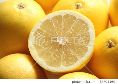 grapefruit  12203360