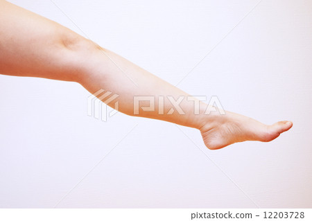 Female legs of forties 12203728