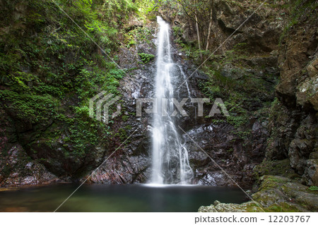 金澤瀑布 12203767