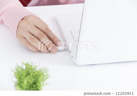 backup 12203951
