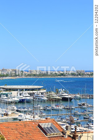 Sailing Yacht Harbor in Cannes 12204202