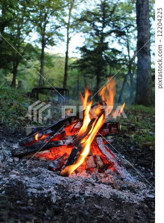 Bonfire 12204225