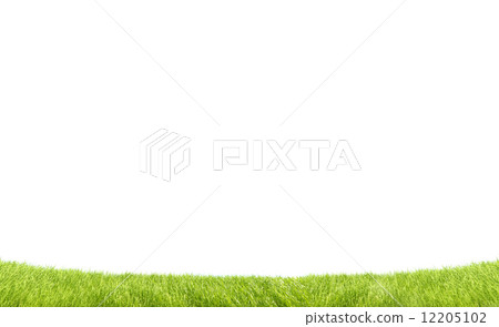 A field A field 12205102