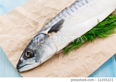 Fresh mackerel stuffed with dill Fresh mackerel stuffed with dill 12205221