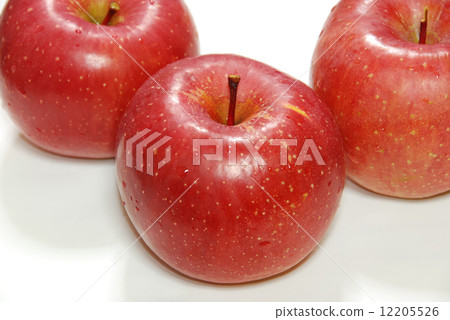 Fuji apple: Azumino Nobunaga Nagano Prefecture Matsukawa village-34 Fuji apple: Azumino Nobunaga Nagano Prefecture Matsukawa village-34 12205526