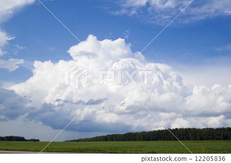 Cloudscape over forest Cloudscape over forest 12205836